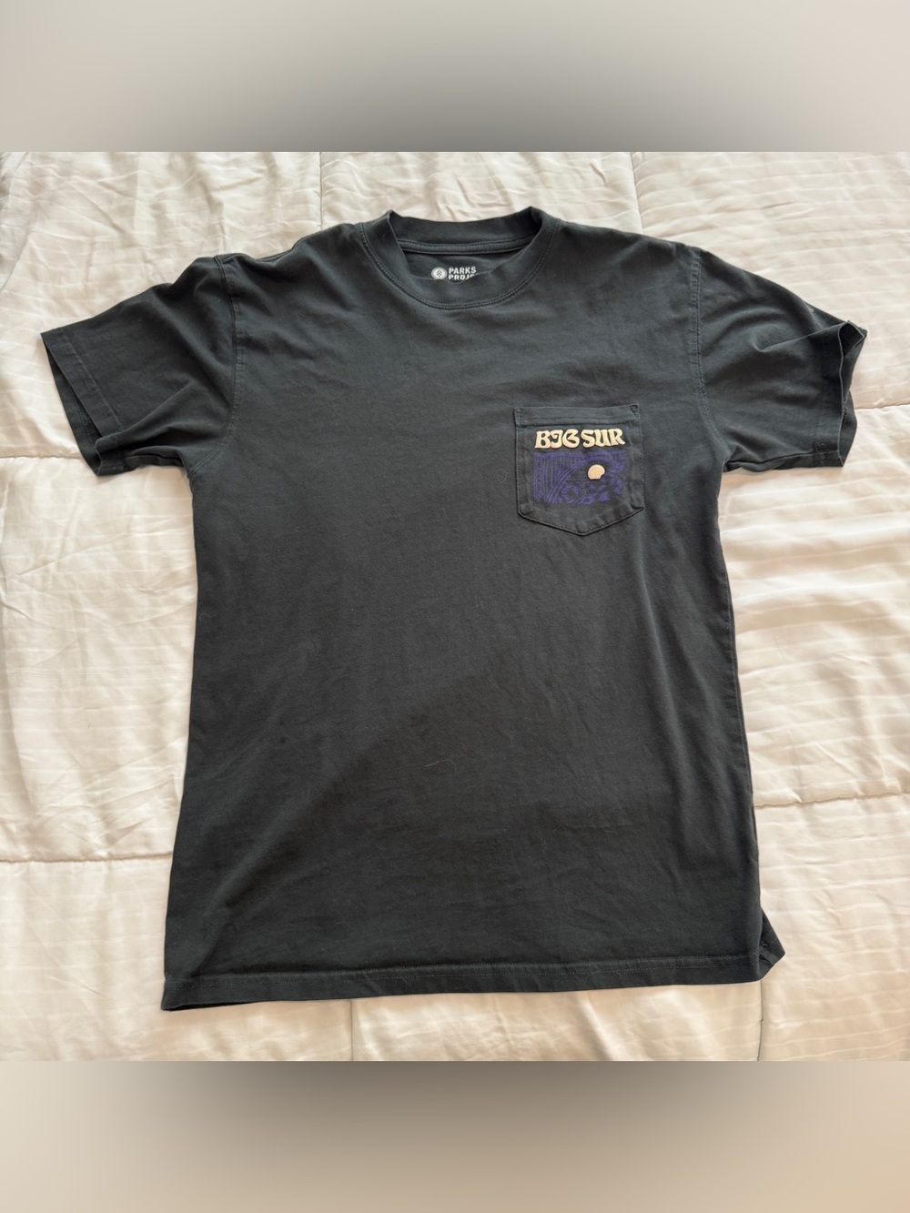 Parks Project Black Pocket Tee with Purple & Gold Big Sur Graphic